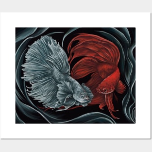 Fighting fish Posters and Art